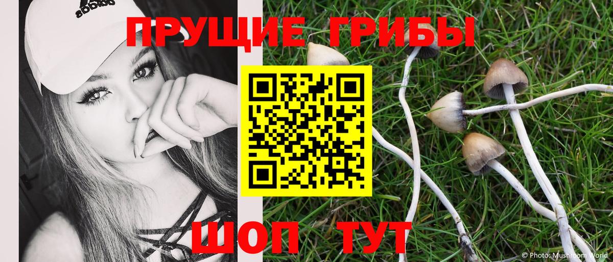 Зерноград  Галлюциногенные грибы Psilocybine cubensis  Вход с VPN  Галлюциногенные грибы ЛСД 