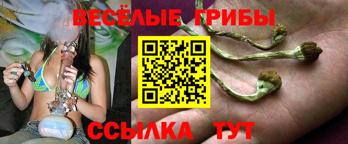 Псилоцибиновые грибы Magic Shrooms Зерноград